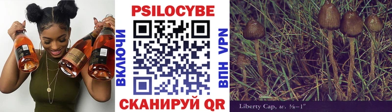 Галлюциногенные грибы Magic Shrooms  что такое наркотик  Дербент 